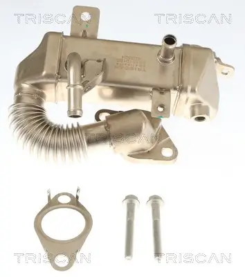 Kühler, Abgasrückführung TRISCAN 8813 10120