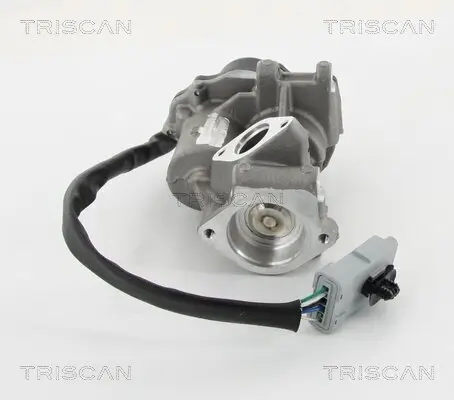 AGR-Ventil rechts TRISCAN 8813 10202 Bild AGR-Ventil rechts TRISCAN 8813 10202