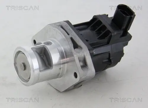 AGR-Ventil TRISCAN 8813 10214