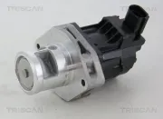 AGR-Ventil TRISCAN 8813 10214