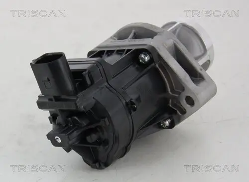 AGR-Ventil TRISCAN 8813 10214 Bild AGR-Ventil TRISCAN 8813 10214