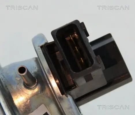 AGR-Ventil TRISCAN 8813 11002 Bild AGR-Ventil TRISCAN 8813 11002
