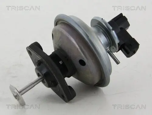 AGR-Ventil TRISCAN 8813 11002 Bild AGR-Ventil TRISCAN 8813 11002