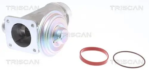 AGR-Ventil TRISCAN 8813 11005 Bild AGR-Ventil TRISCAN 8813 11005