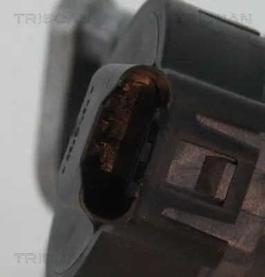 AGR-Ventil TRISCAN 8813 11006 Bild AGR-Ventil TRISCAN 8813 11006