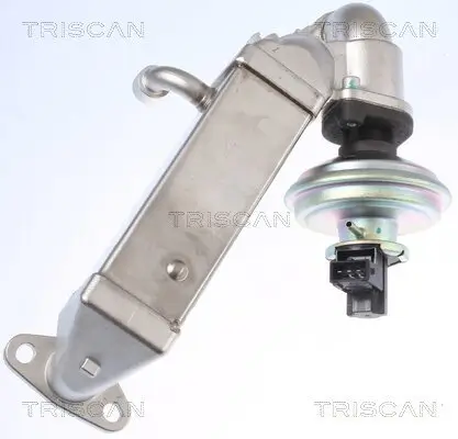 AGR-Ventil TRISCAN 8813 11009 Bild AGR-Ventil TRISCAN 8813 11009