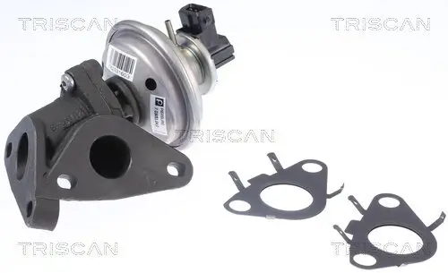 AGR-Ventil TRISCAN 8813 11010 Bild AGR-Ventil TRISCAN 8813 11010