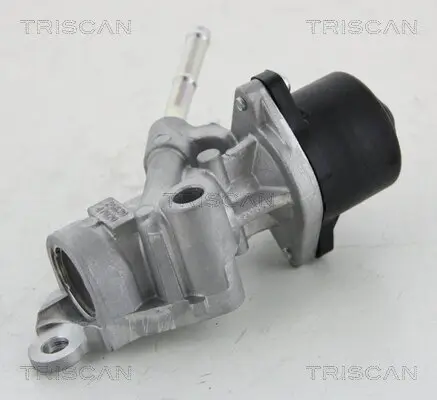 AGR-Ventil TRISCAN 8813 13025 Bild AGR-Ventil TRISCAN 8813 13025