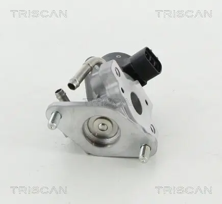 AGR-Ventil TRISCAN 8813 13057
