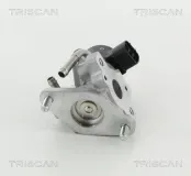 AGR-Ventil TRISCAN 8813 13057