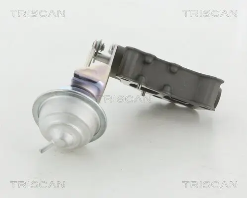 AGR-Ventil TRISCAN 8813 13058 Bild AGR-Ventil TRISCAN 8813 13058
