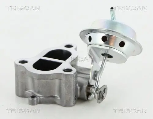 AGR-Ventil TRISCAN 8813 13065 Bild AGR-Ventil TRISCAN 8813 13065