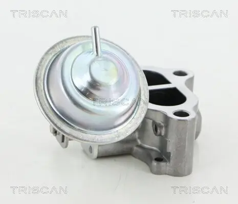 AGR-Ventil TRISCAN 8813 13065 Bild AGR-Ventil TRISCAN 8813 13065