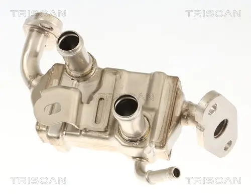 Kühler, Abgasrückführung TRISCAN 8813 13072