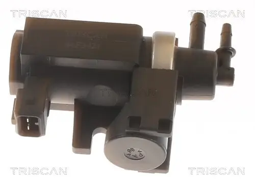 Druckwandler, Abgassteuerung TRISCAN 8813 15004