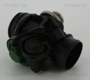 AGR-Ventil TRISCAN 8813 15056