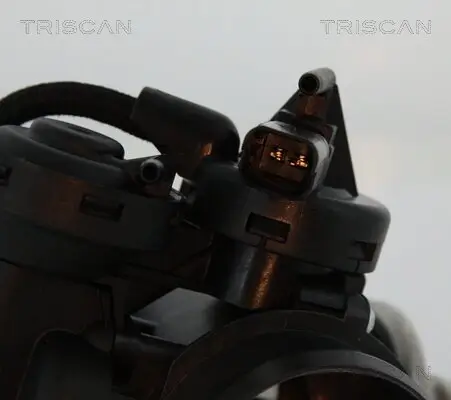 AGR-Ventil TRISCAN 8813 15056 Bild AGR-Ventil TRISCAN 8813 15056