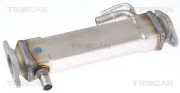 Kühler, Abgasrückführung TRISCAN 8813 15073