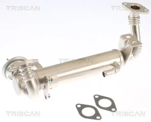 AGR-Ventil TRISCAN 8813 15074