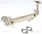 AGR-Ventil TRISCAN 8813 15074
