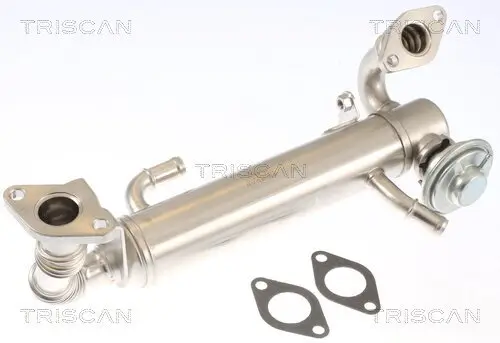 AGR-Ventil TRISCAN 8813 15074 Bild AGR-Ventil TRISCAN 8813 15074