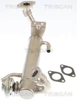 AGR-Ventil TRISCAN 8813 15074 Bild AGR-Ventil TRISCAN 8813 15074