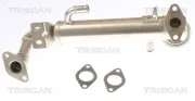 Kühler, Abgasrückführung TRISCAN 8813 15075
