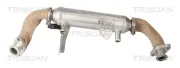 Kühler, Abgasrückführung TRISCAN 8813 15079