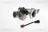 AGR-Ventil TRISCAN 8813 15100 Bild AGR-Ventil TRISCAN 8813 15100