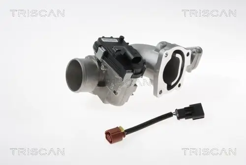 AGR-Ventil TRISCAN 8813 15100 Bild AGR-Ventil TRISCAN 8813 15100