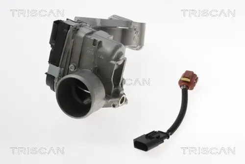 AGR-Ventil TRISCAN 8813 15100 Bild AGR-Ventil TRISCAN 8813 15100