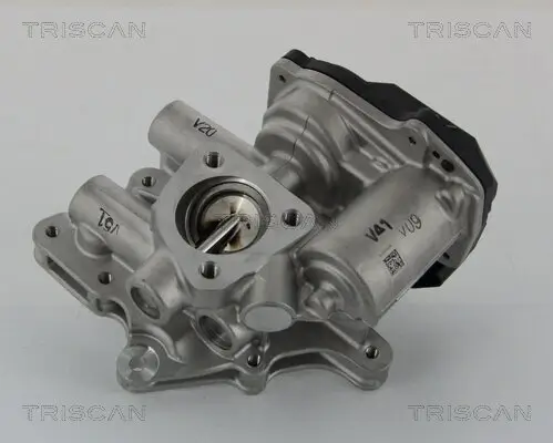 AGR-Ventil TRISCAN 8813 15205 Bild AGR-Ventil TRISCAN 8813 15205