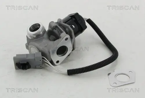 AGR-Ventil TRISCAN 8813 16008