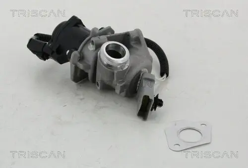 AGR-Ventil TRISCAN 8813 16008 Bild AGR-Ventil TRISCAN 8813 16008
