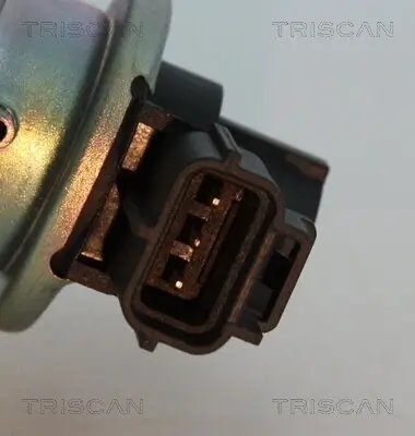AGR-Ventil TRISCAN 8813 16012 Bild AGR-Ventil TRISCAN 8813 16012