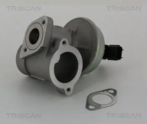 AGR-Ventil TRISCAN 8813 16012 Bild AGR-Ventil TRISCAN 8813 16012
