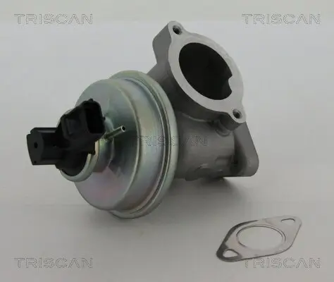 AGR-Ventil TRISCAN 8813 16012 Bild AGR-Ventil TRISCAN 8813 16012