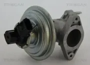 AGR-Ventil TRISCAN 8813 16043