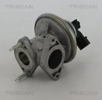 AGR-Ventil TRISCAN 8813 16043 Bild AGR-Ventil TRISCAN 8813 16043