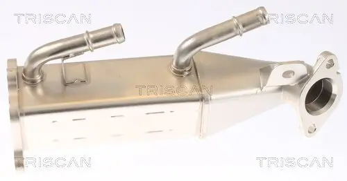 Kühler, Abgasrückführung TRISCAN 8813 16073