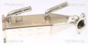 Kühler, Abgasrückführung TRISCAN 8813 16073