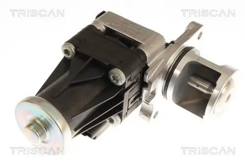 AGR-Ventil TRISCAN 8813 16074