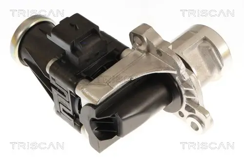 AGR-Ventil TRISCAN 8813 16074 Bild AGR-Ventil TRISCAN 8813 16074