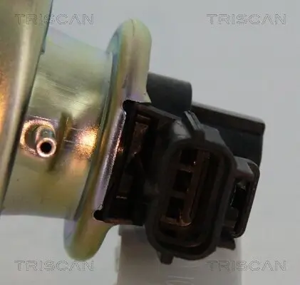 AGR-Ventil TRISCAN 8813 16102 Bild AGR-Ventil TRISCAN 8813 16102