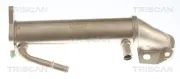Kühler, Abgasrückführung TRISCAN 8813 16117