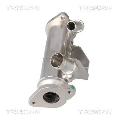 Kühler, Abgasrückführung rechts TRISCAN 8813 17102 Bild Kühler, Abgasrückführung rechts TRISCAN 8813 17102