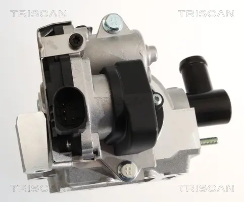 AGR-Ventil TRISCAN 8813 18046 Bild AGR-Ventil TRISCAN 8813 18046