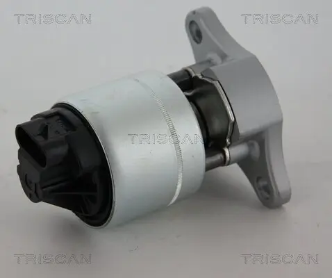 AGR-Ventil TRISCAN 8813 21006