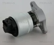AGR-Ventil TRISCAN 8813 21006