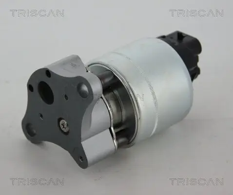 AGR-Ventil TRISCAN 8813 21006 Bild AGR-Ventil TRISCAN 8813 21006